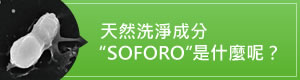 天然洗浄成分ソホロとは?